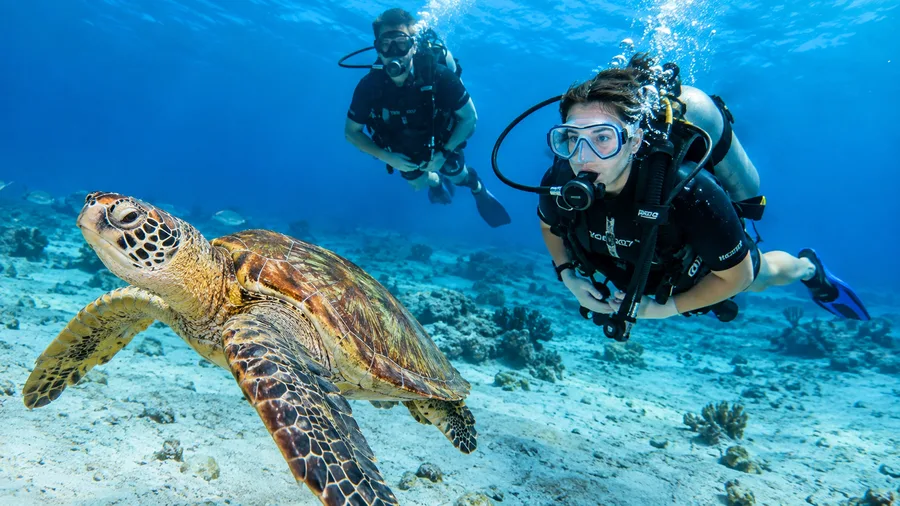 Principiante immersioni subacquee a Cancun: Guida per non certificati e DSD