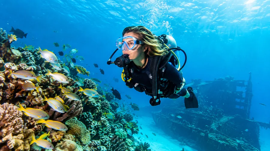 Beste Tauchresorts in Cancún und All-Inclusive-Urlaube
