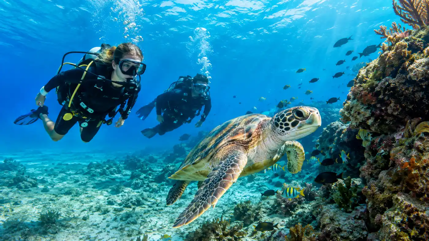 Top Dive Shops and Scuba Charters in Cancun