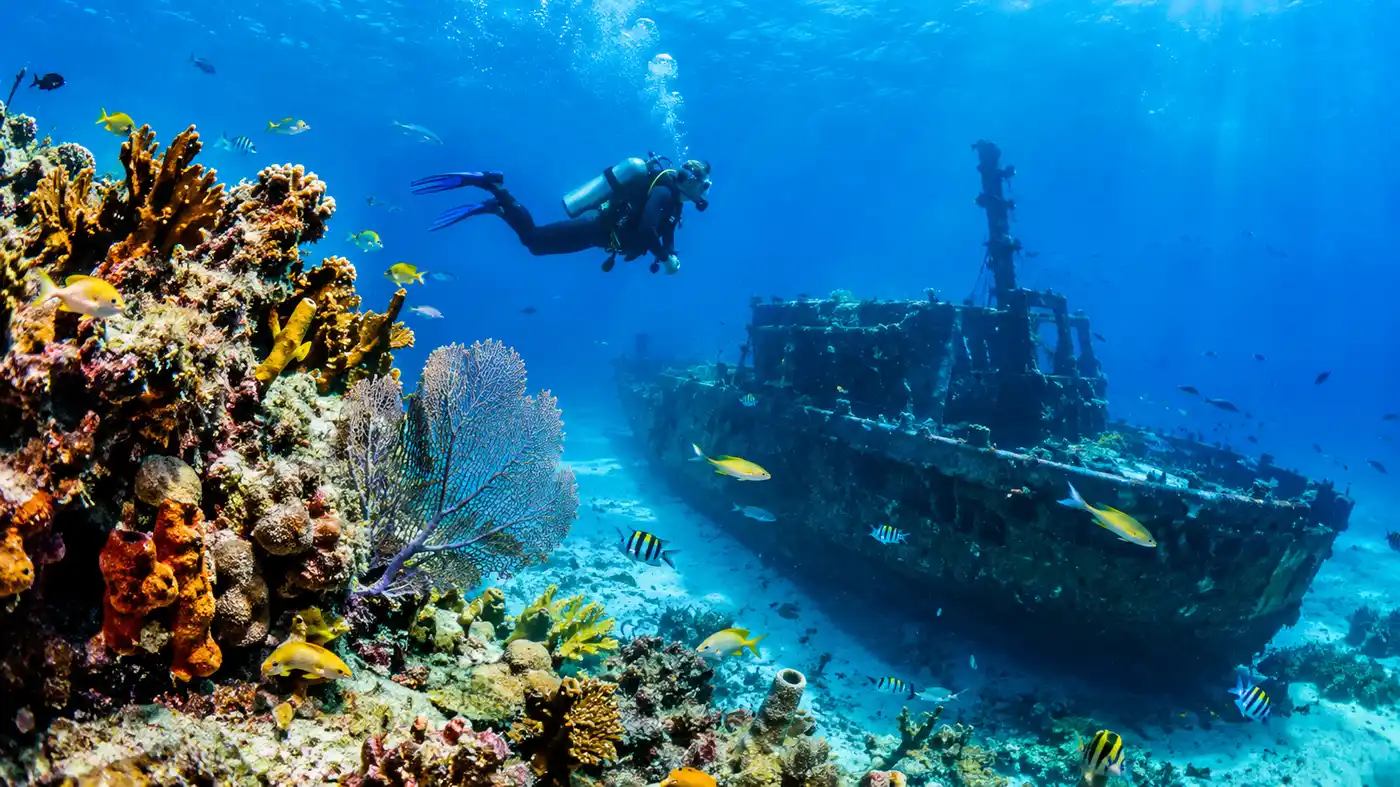 Best Cancun Dive Sites: Coral Reefs and Wrecks