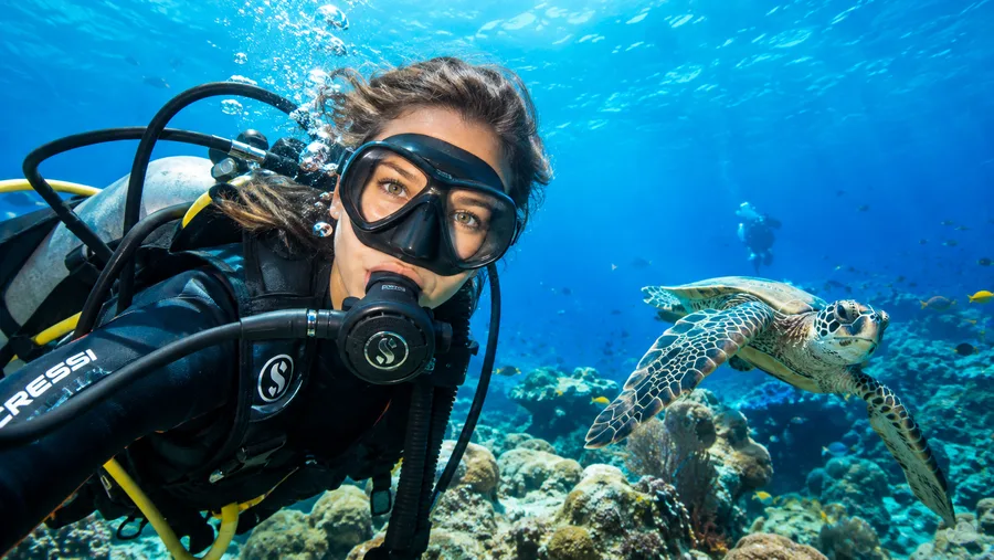 Certificación de buceo PADI y SSI en Cancún