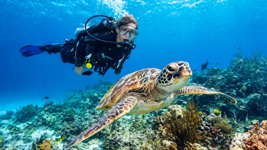 Certificación de buceo PADI y SSI en Cancún