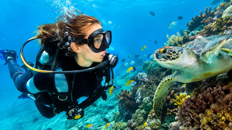 Tauchen in Cancún: Preise, Kosten und Tourpakete