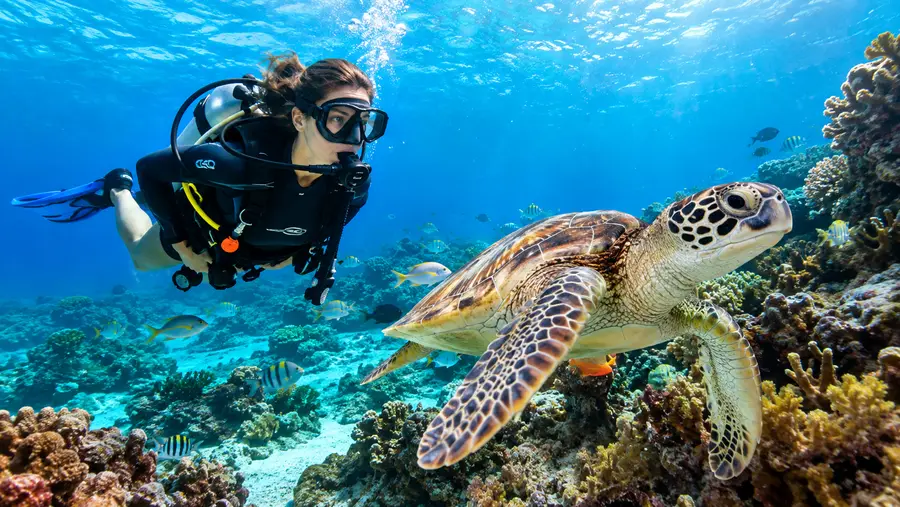 Tauchen in Cancún: Preise, Kosten und Tourpakete