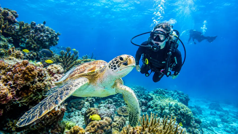 Immersione subacquea a Cozumel e Puerto Morelos da Cancún